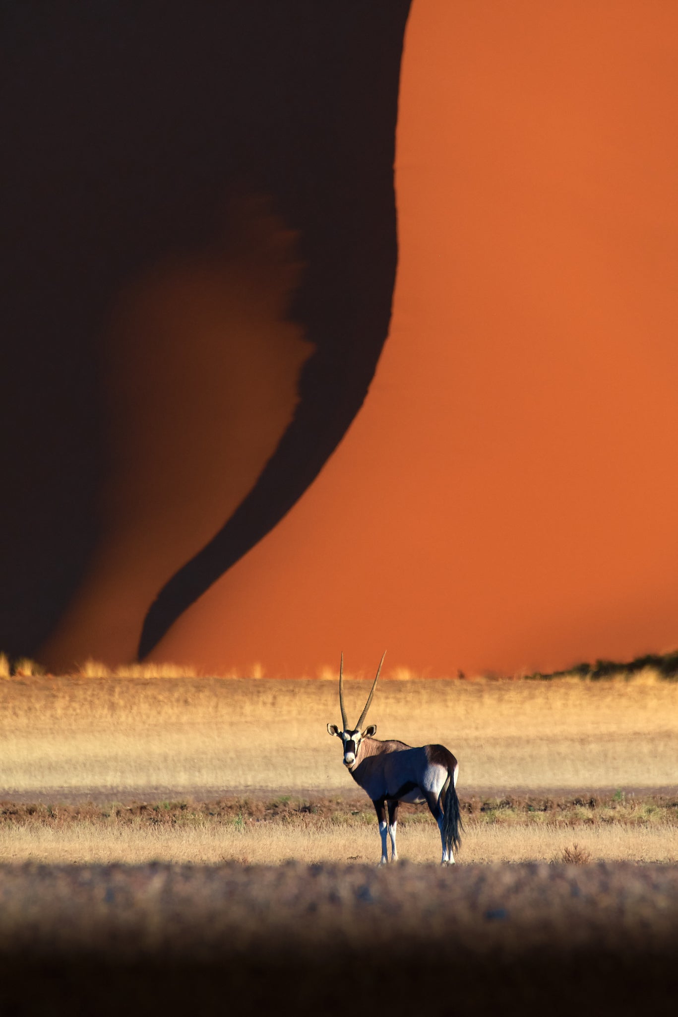 ICONIC NAMIBIA PHOTO WORKSHOP
