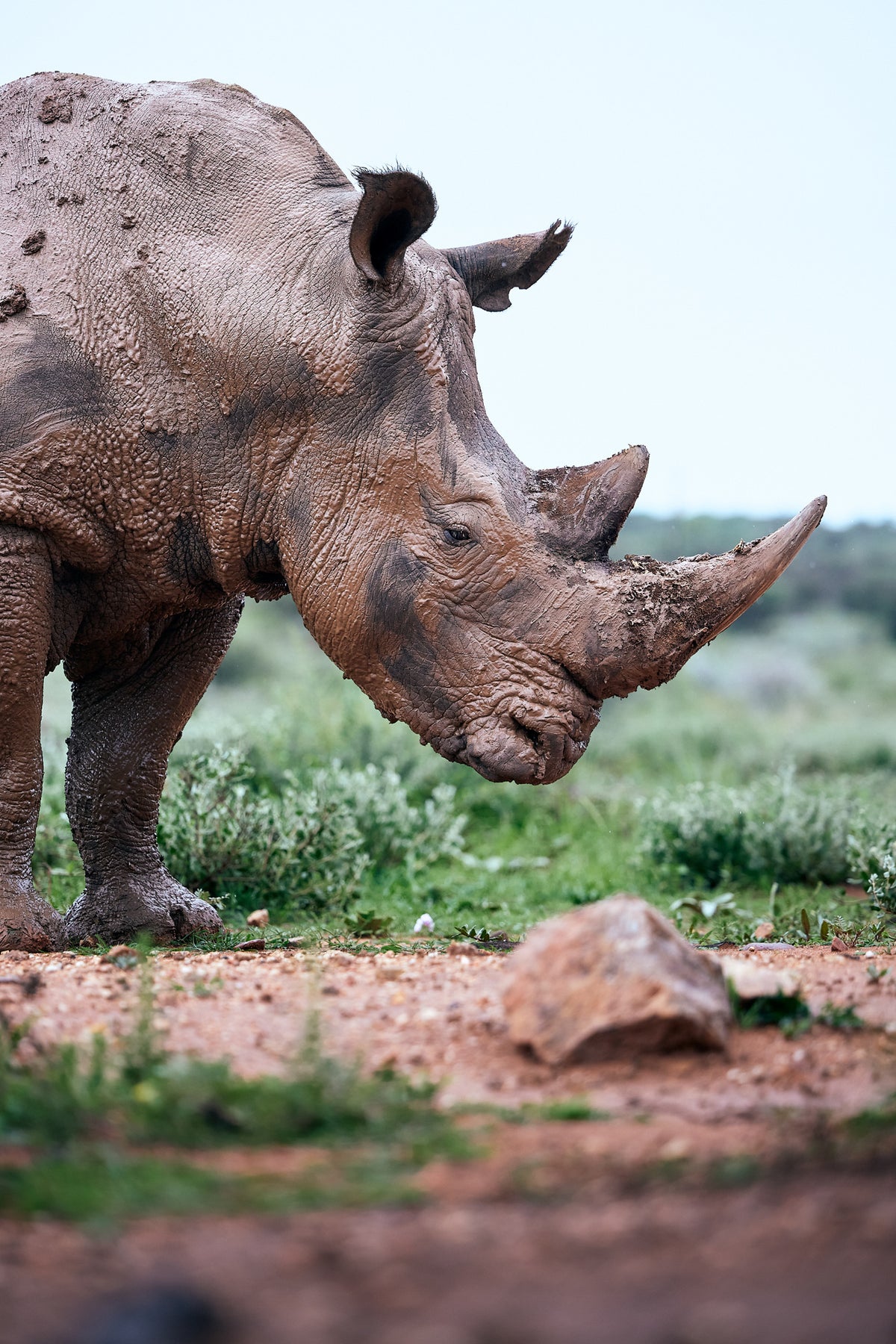 WILD NAMIBIA: IL WORKSHOP FOTOGRAFICO