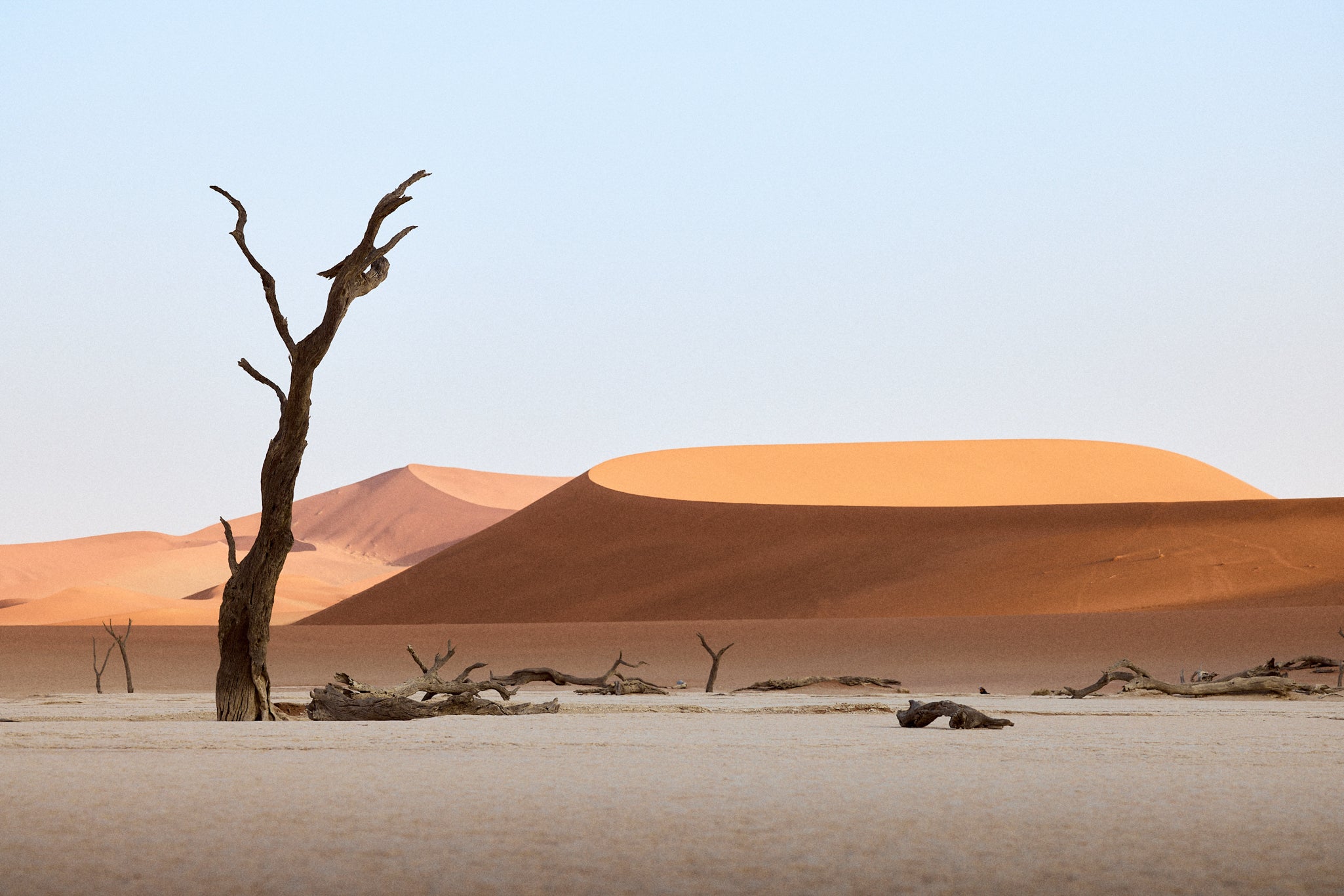 ICONIC NAMIBIA PHOTO WORKSHOP