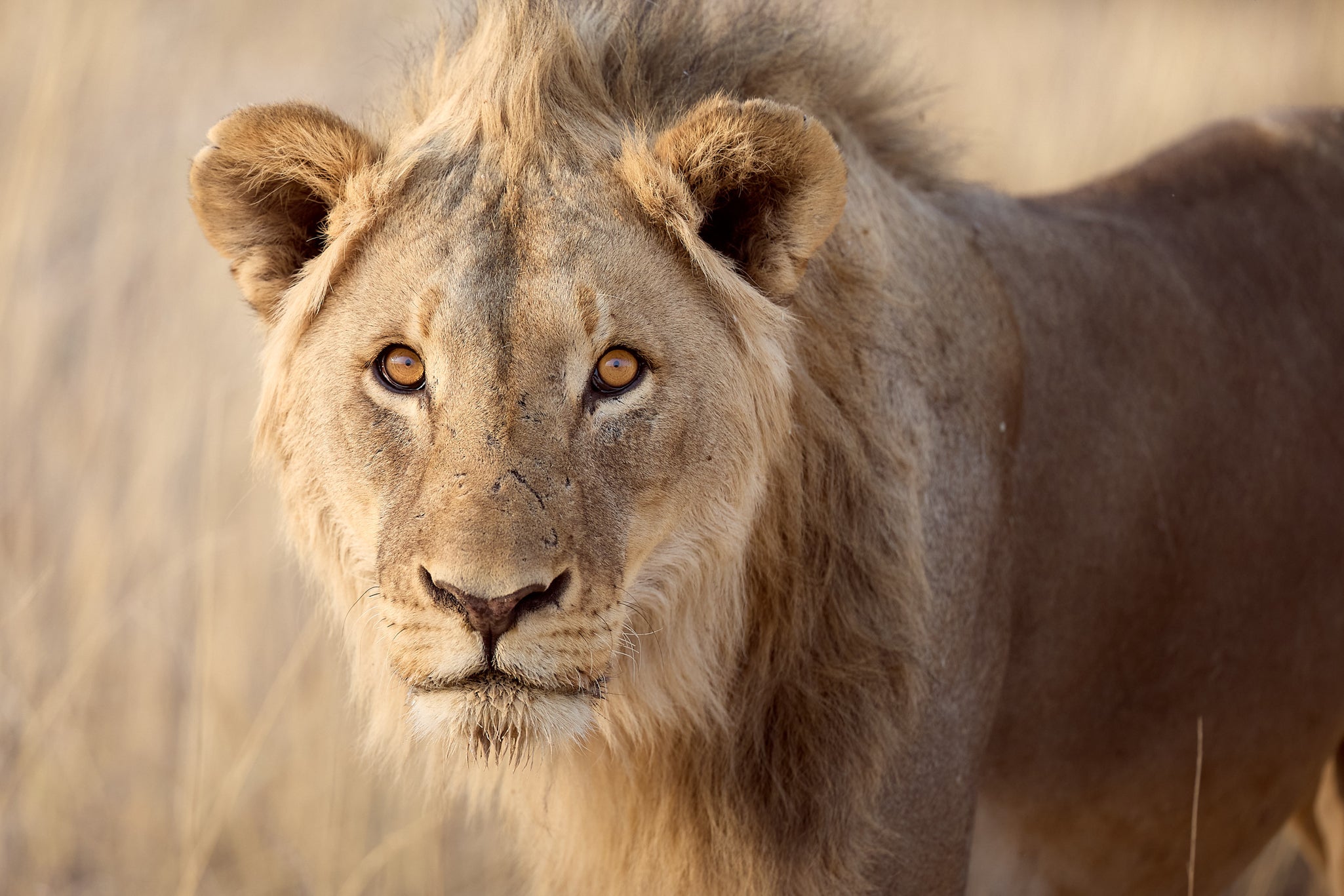 ICONIC NAMIBIA PHOTO WORKSHOP