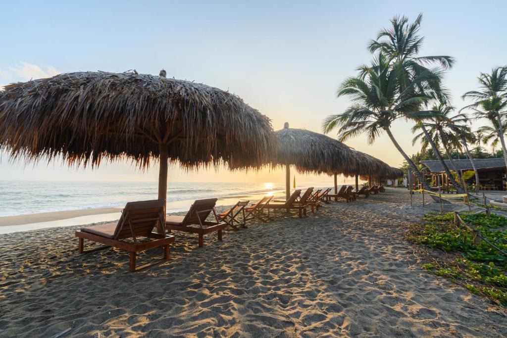 COLOMBIA: FROM THE ANDES TO THE SEA