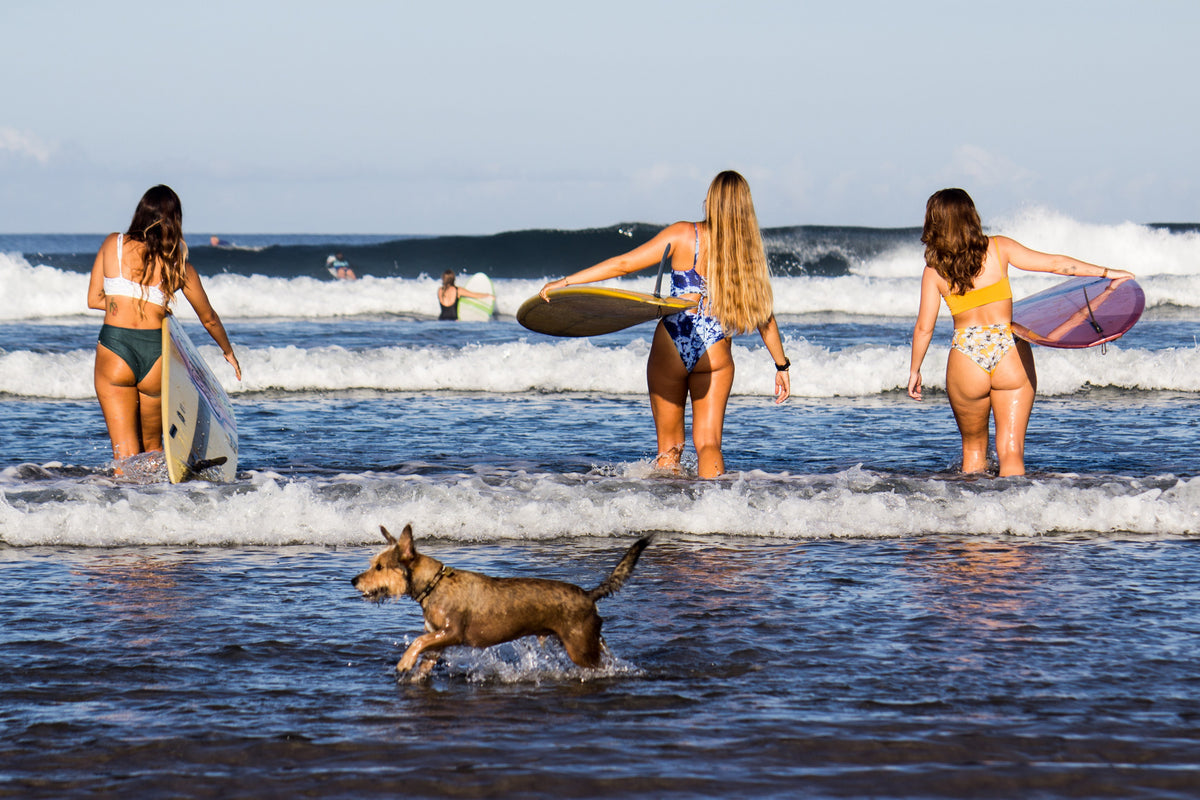 COSTA RICA: VERSO IL PARADISO