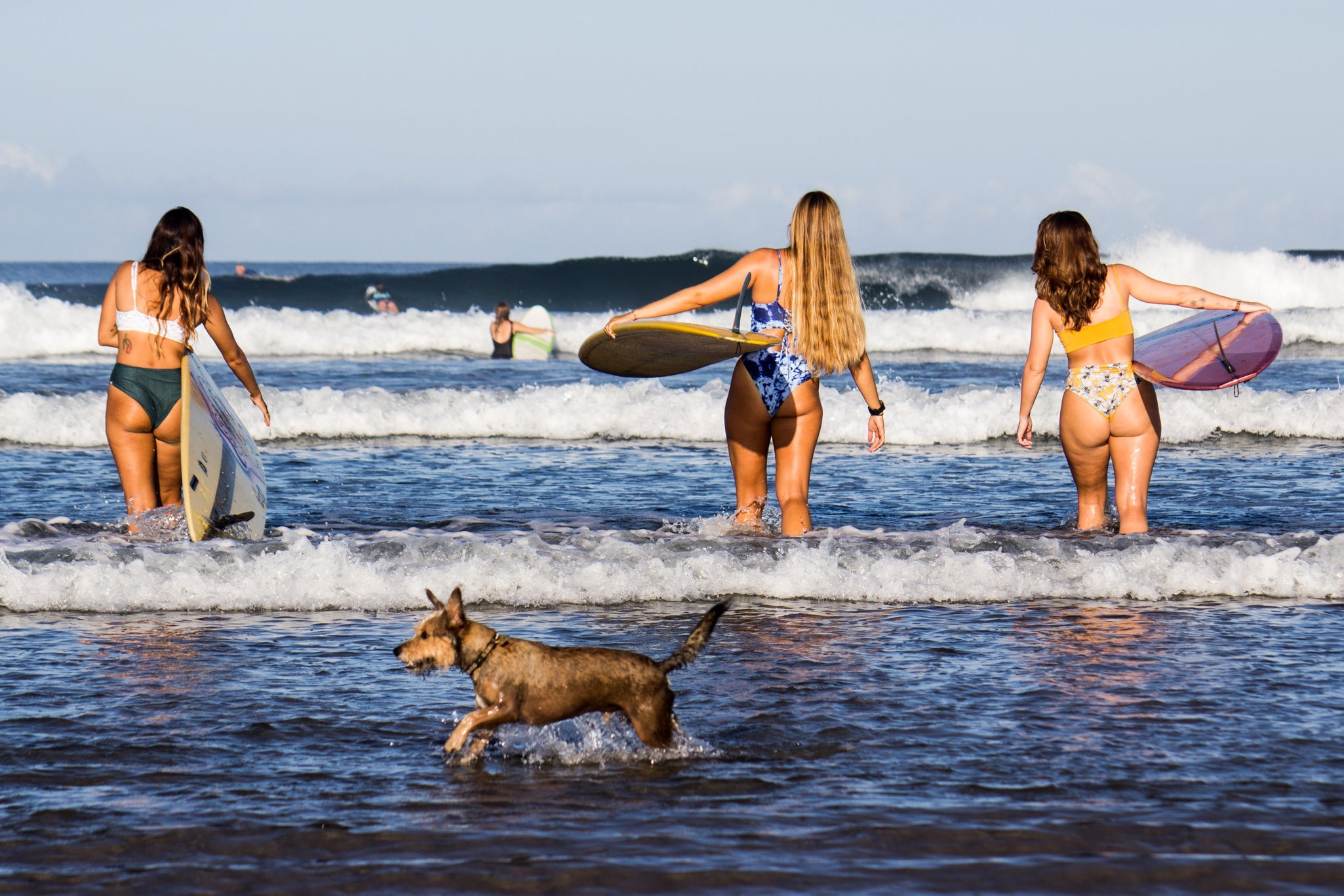 COSTA RICA: VERSO IL PARADISO