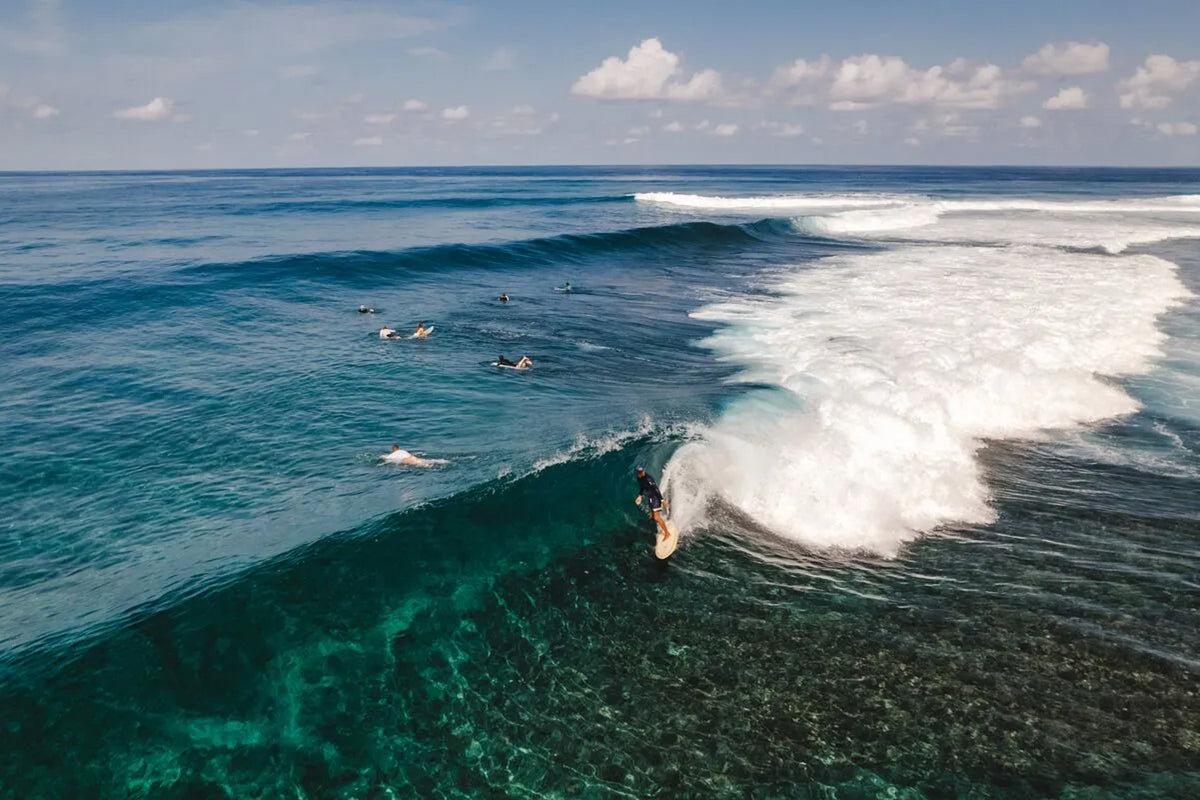 SURF TRIP ALLE MALDIVE