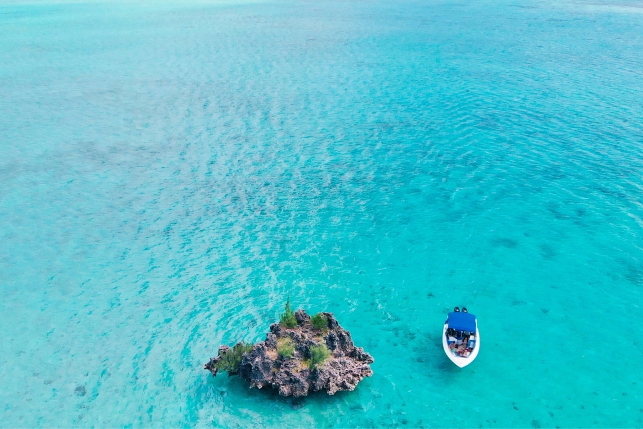 MAURITIUS WHALE TRIP