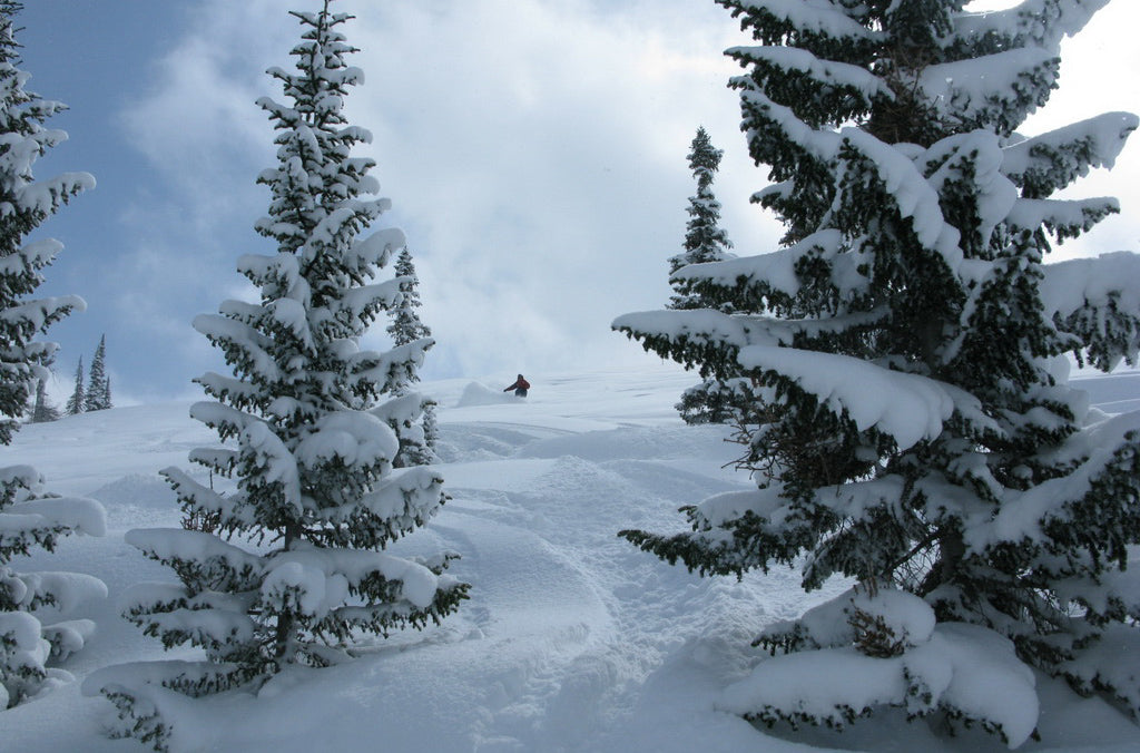 CAT SKIING: KAZAKH EDITION