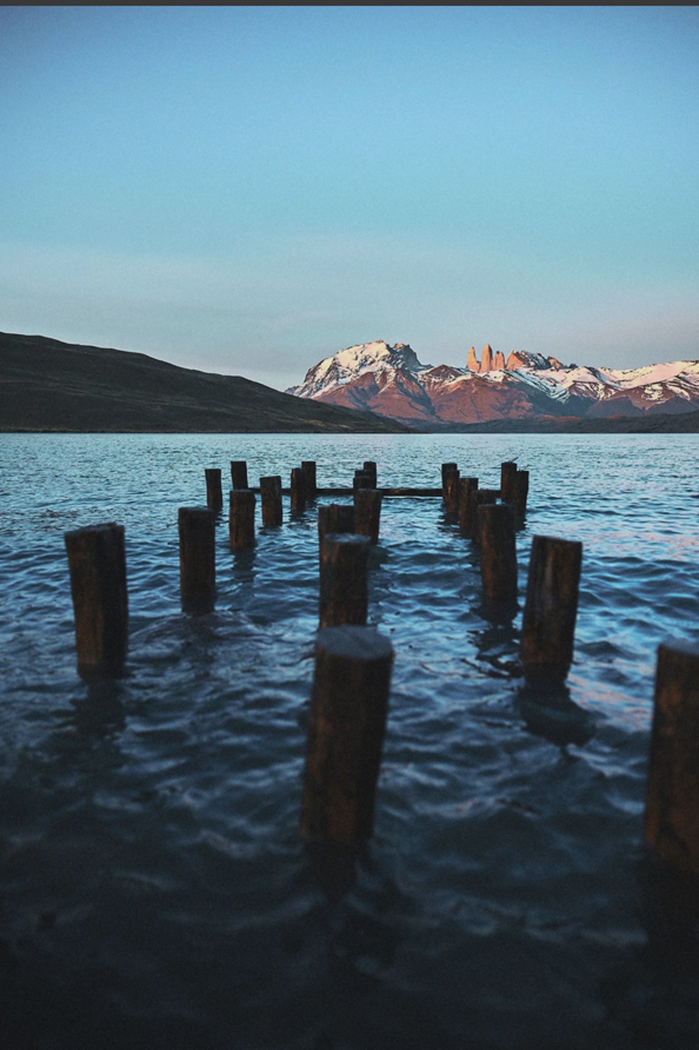  I PUMA DELLA PATAGONIA