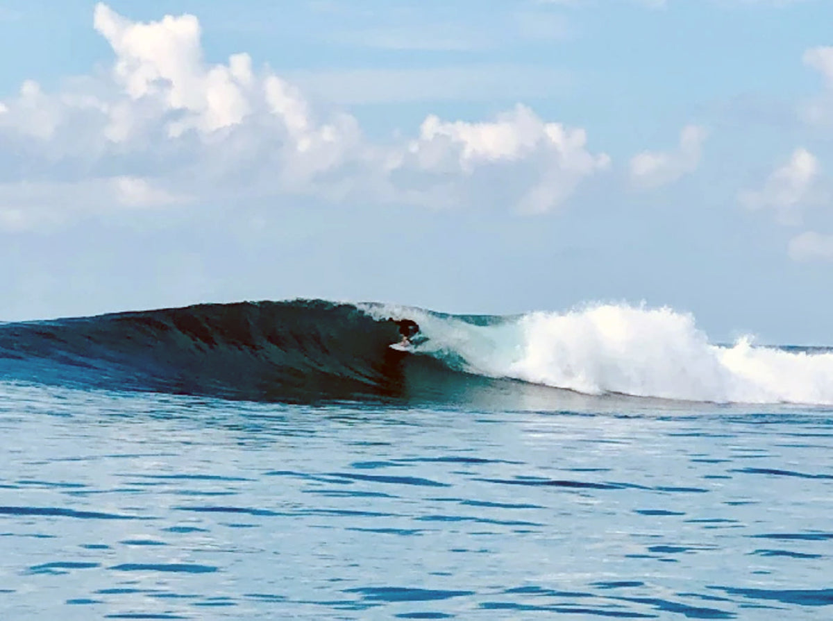 TELO ISLAND SURF TRIP