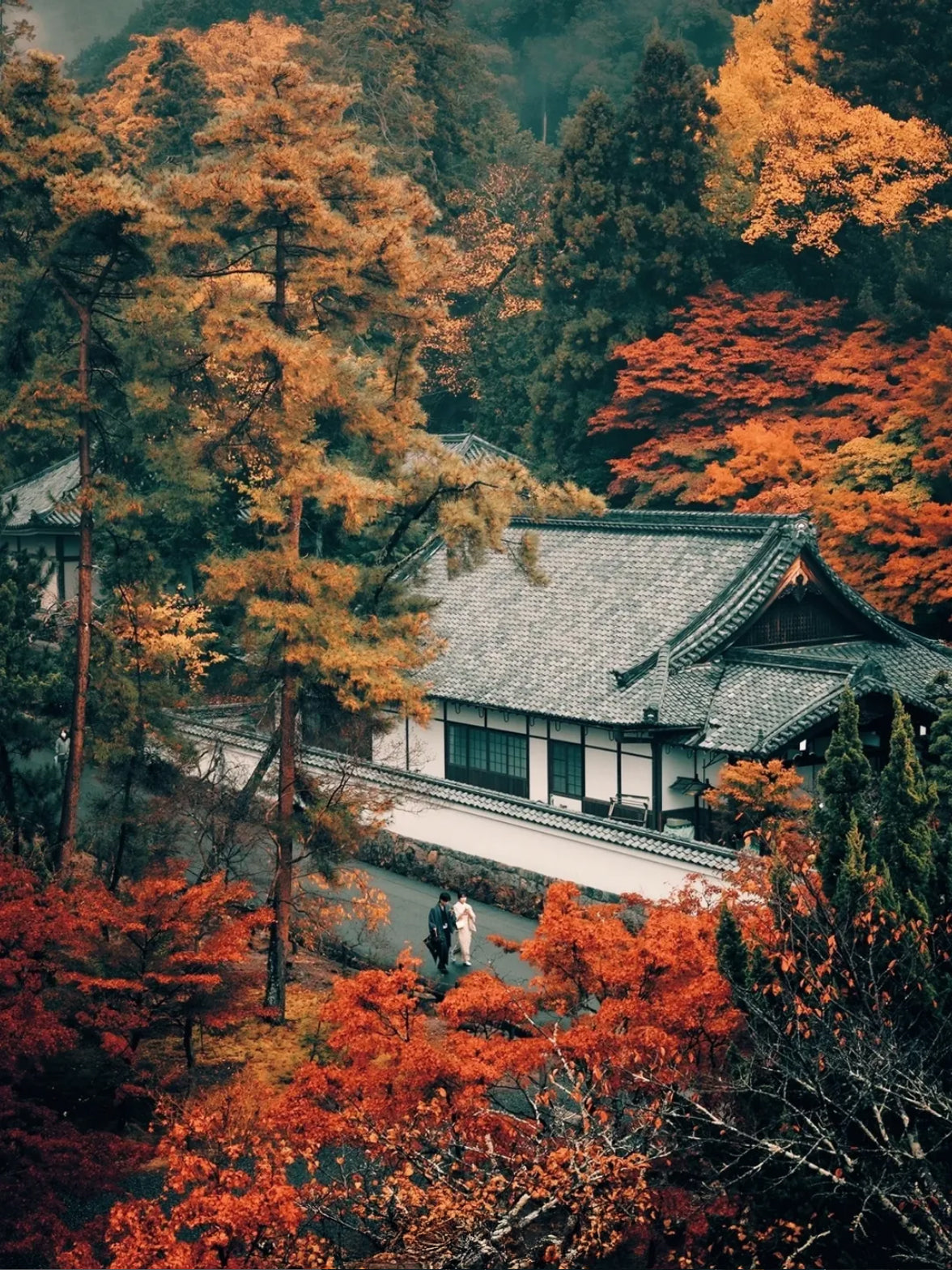 GIAPPONE: L'ARTE DELL'AUTUNNO