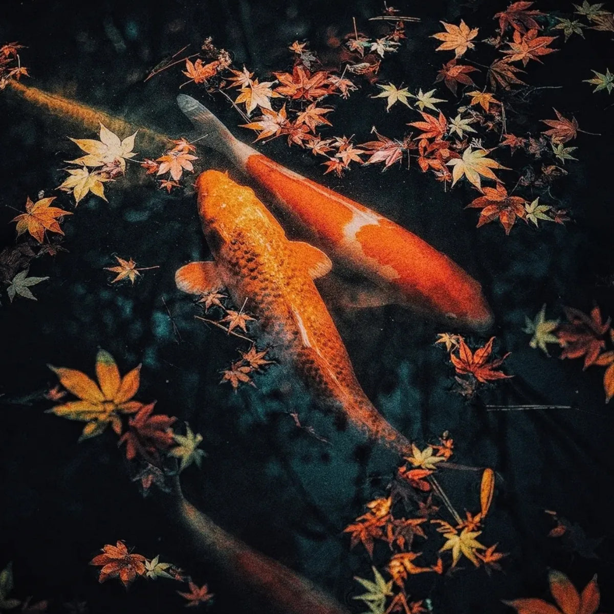 GIAPPONE: L'ARTE DELL'AUTUNNO