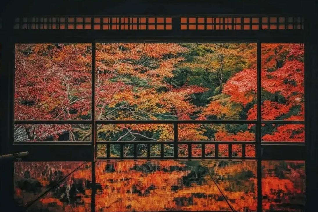 GIAPPONE: L'ARTE DELL'AUTUNNO