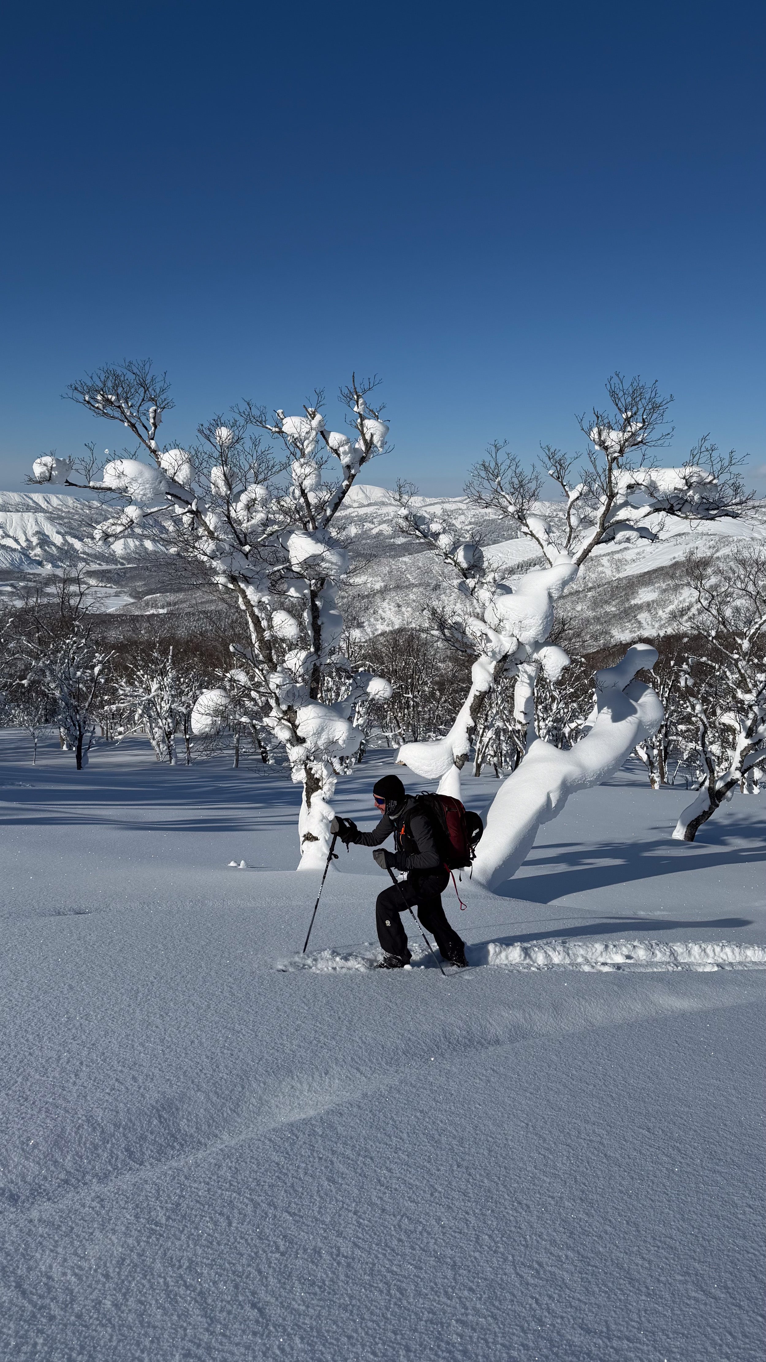 SECRET JAPOW