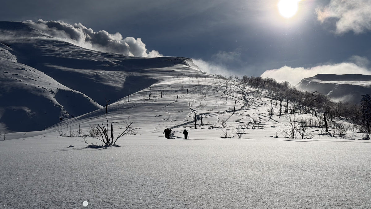 SECRET JAPOW