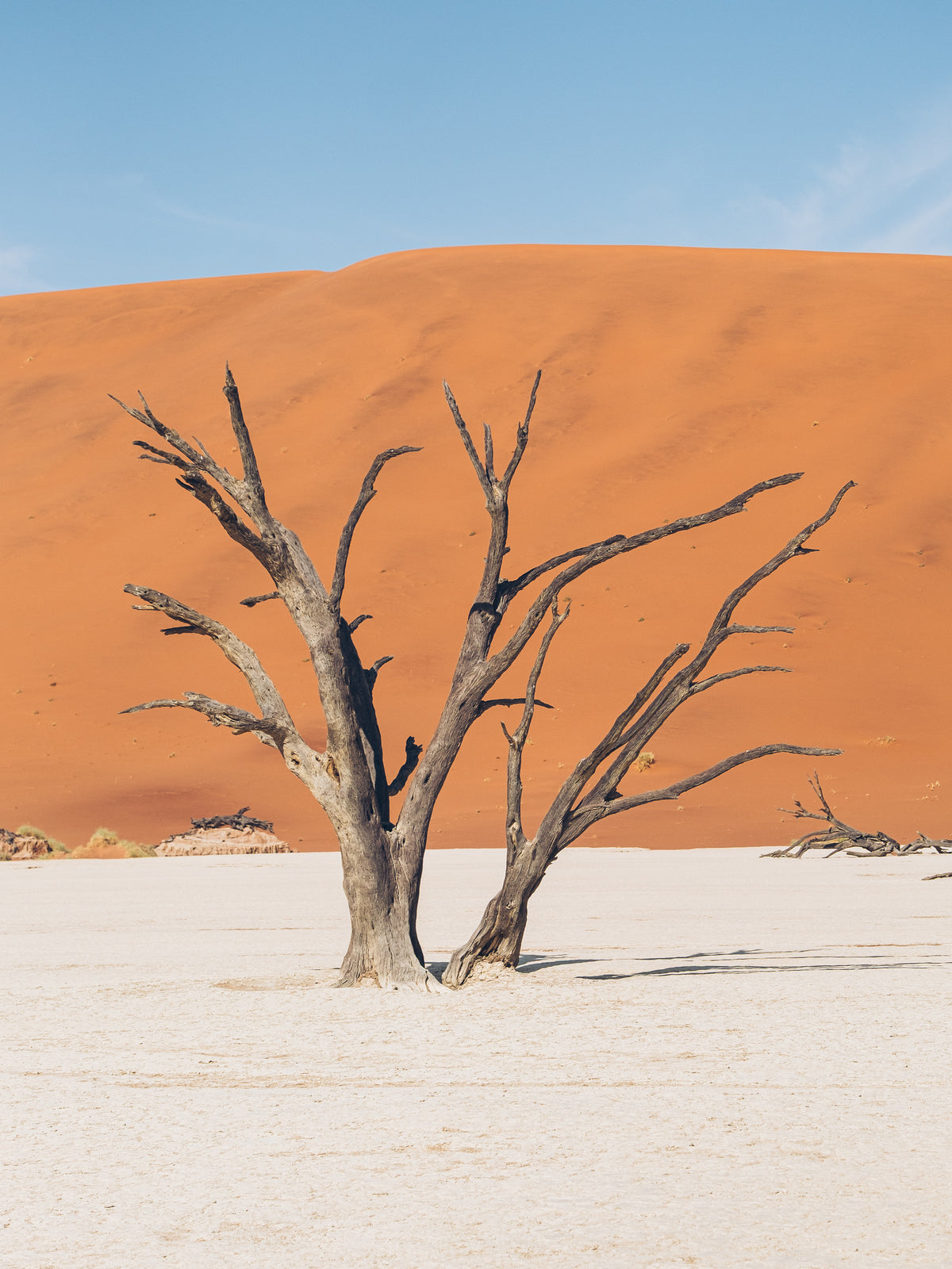 Naamibia ICONIC NAMIBIA PHOTO WORKSHOP – Esploro Travel