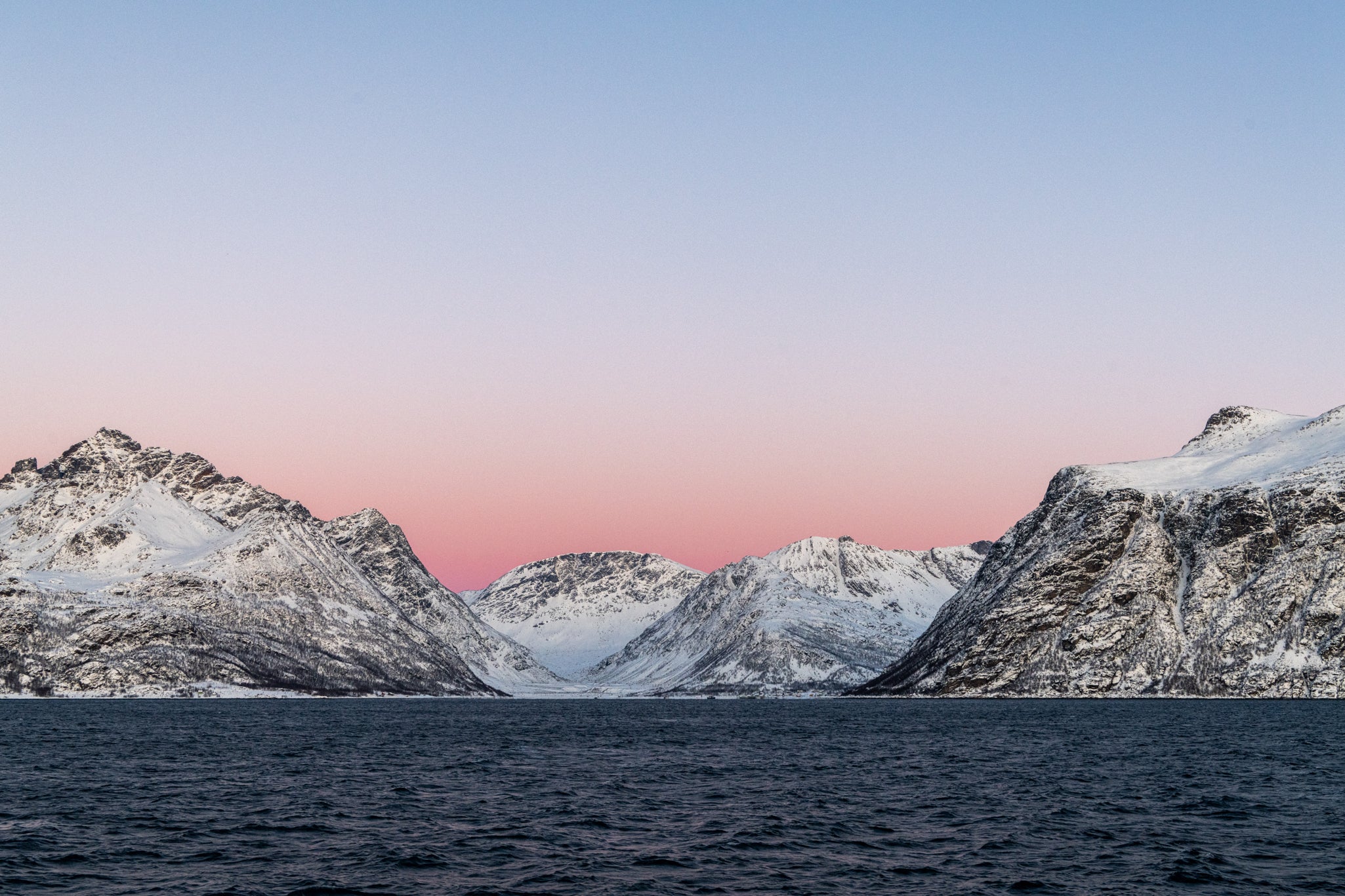 NUOTA CON LE ORCHE IN NORVEGIA