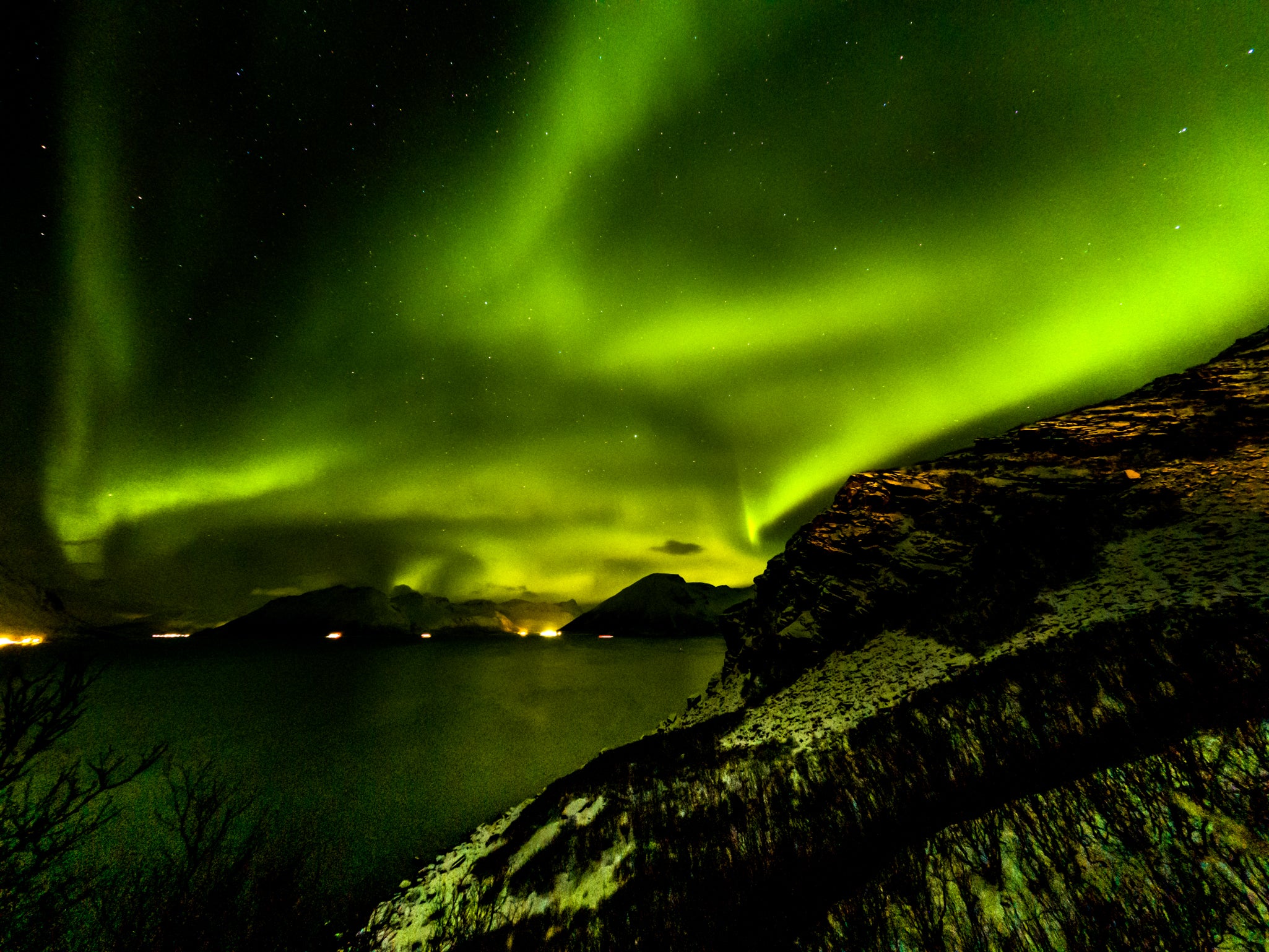 NUOTA CON LE ORCHE IN NORVEGIA