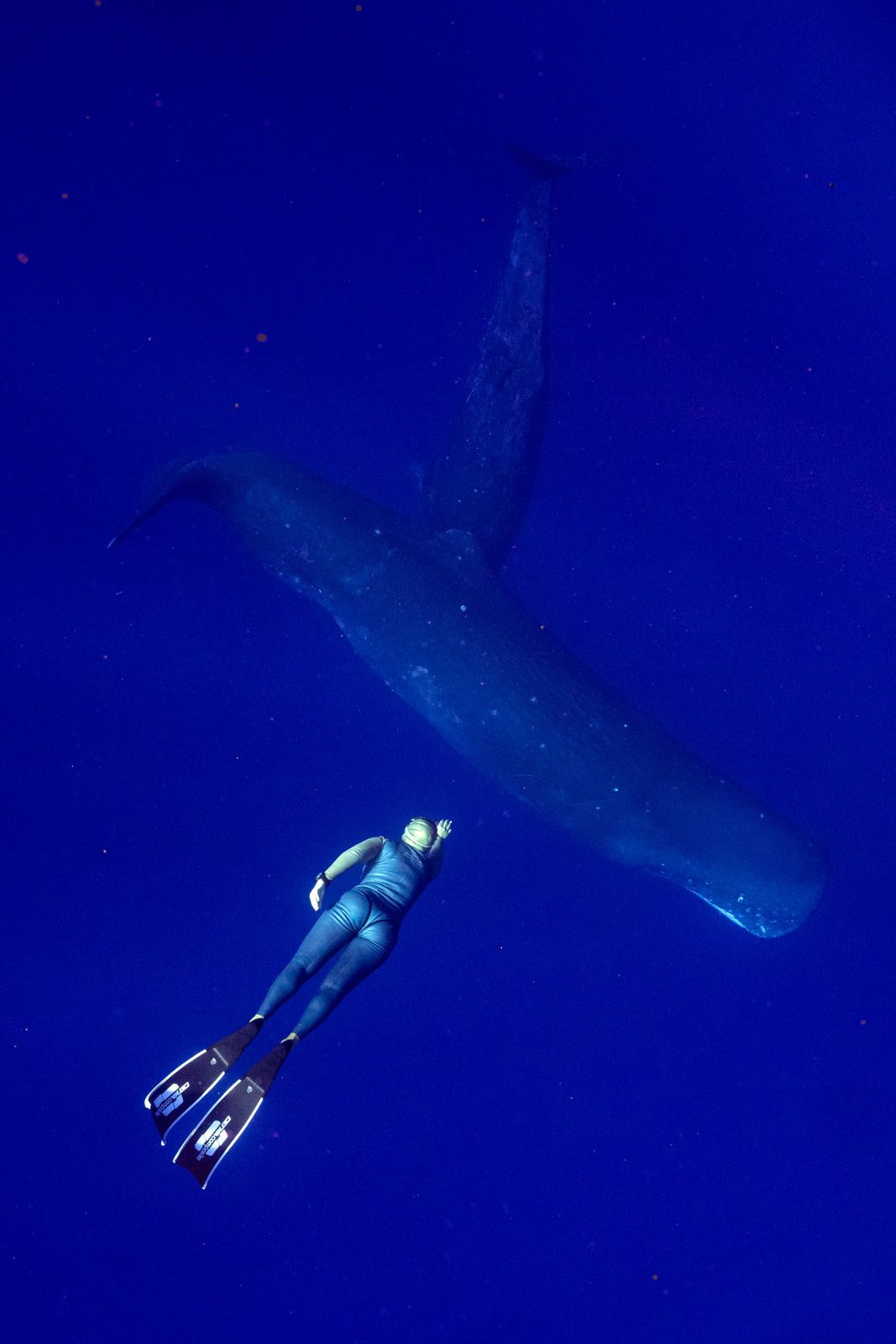 BLUE WORLD