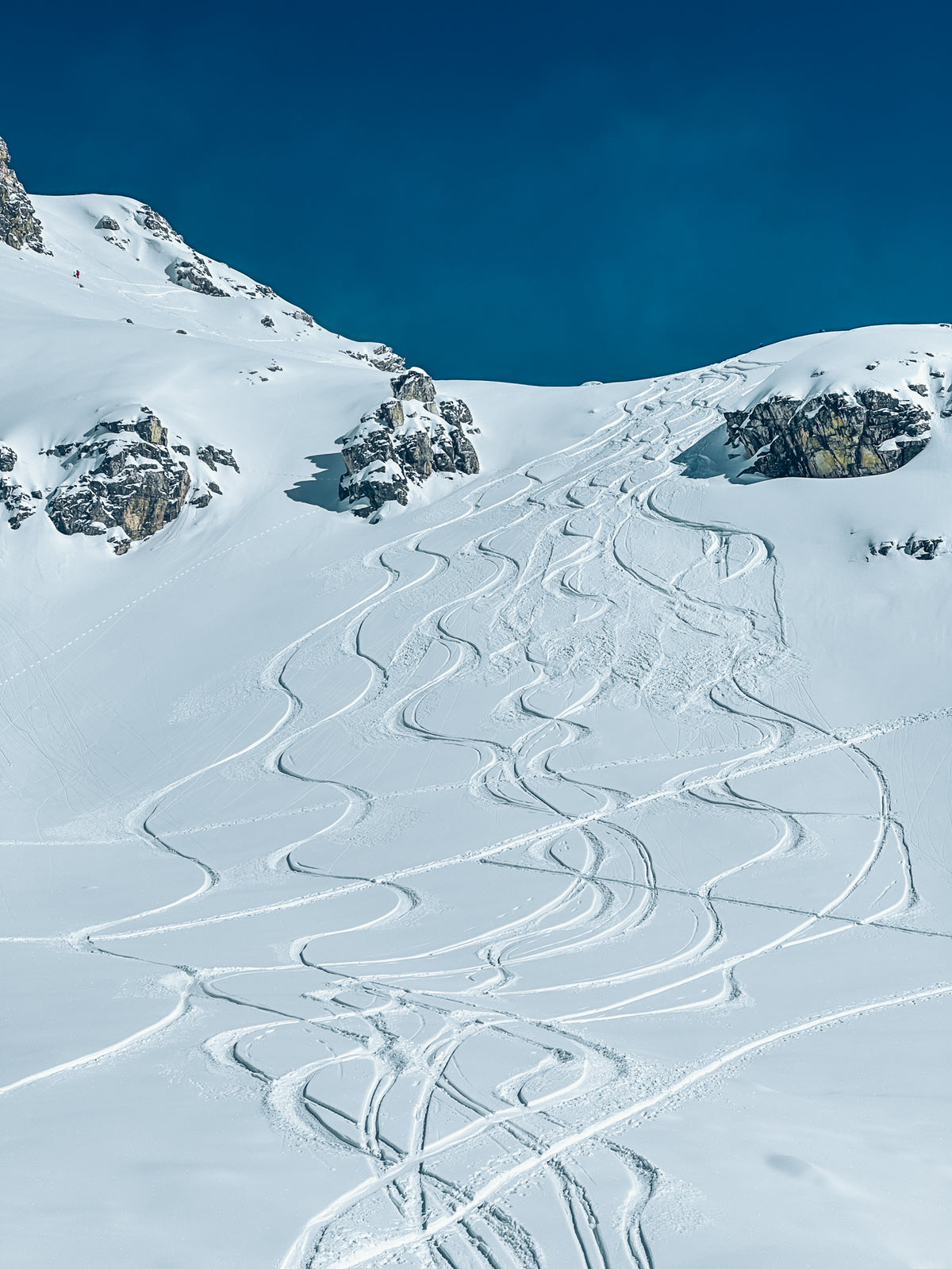 GEORGIAN POWDER PARADISE