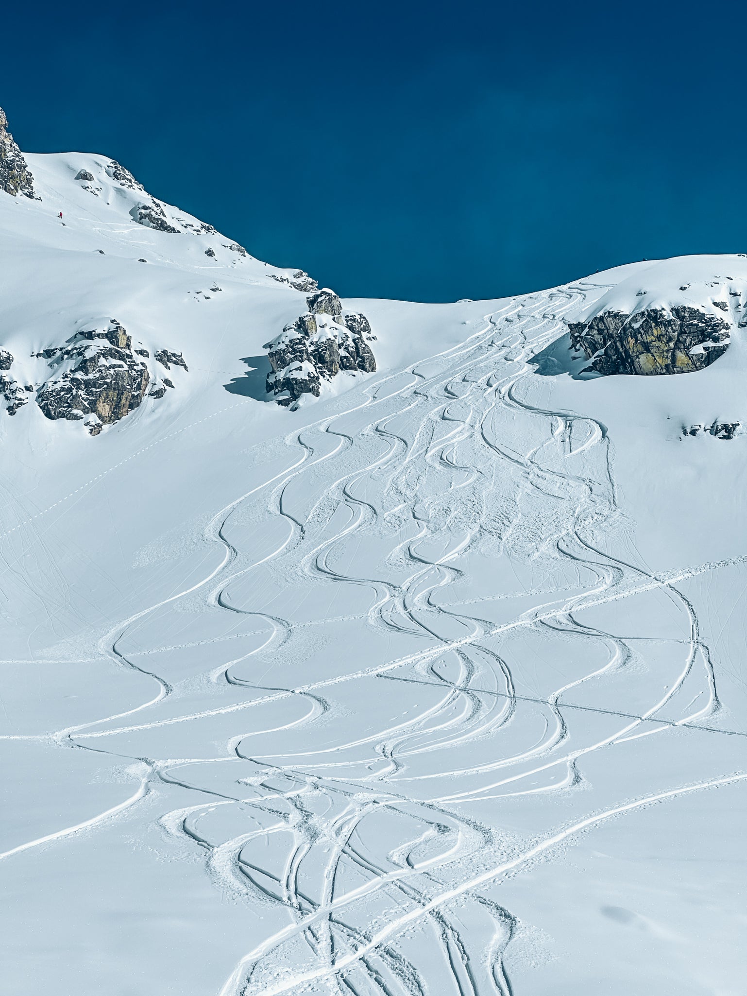 GEORGIAN POWDER PARADISE